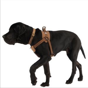 Carhartt dog harness